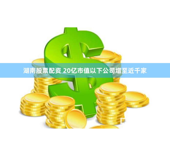 湖南股票配资 20亿市值以下公司增至近千家