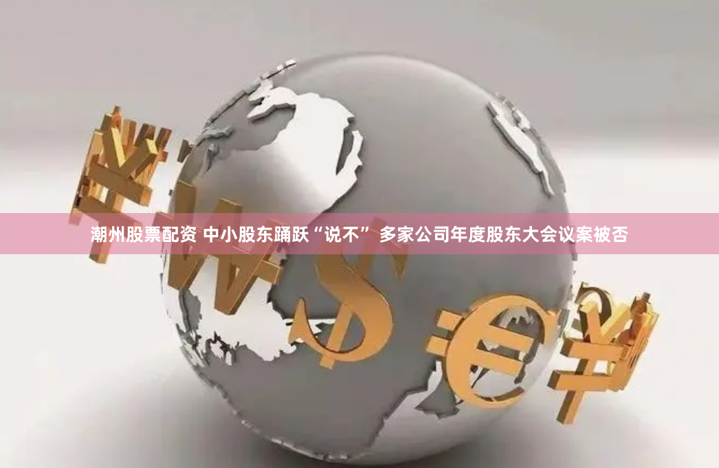 潮州股票配资 中小股东踊跃“说不” 多家公司年度股东大会议案被否