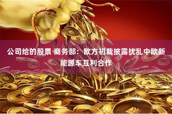 公司给的股票 商务部：欧方初裁披露扰乱中欧新能源车互利合作
