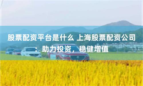 股票配资平台是什么 上海股票配资公司：助力投资，稳健增值