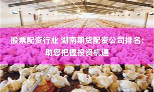 股票配资行业 湖南期货配资公司排名：助您把握投资机遇