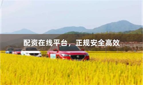 配资在线平台，正规安全高效