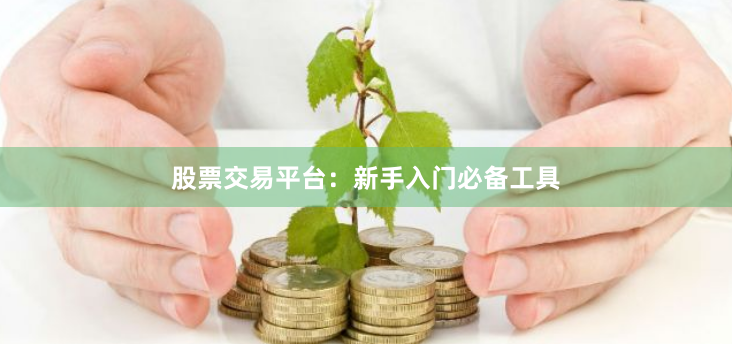 股票交易平台：新手入门必备工具