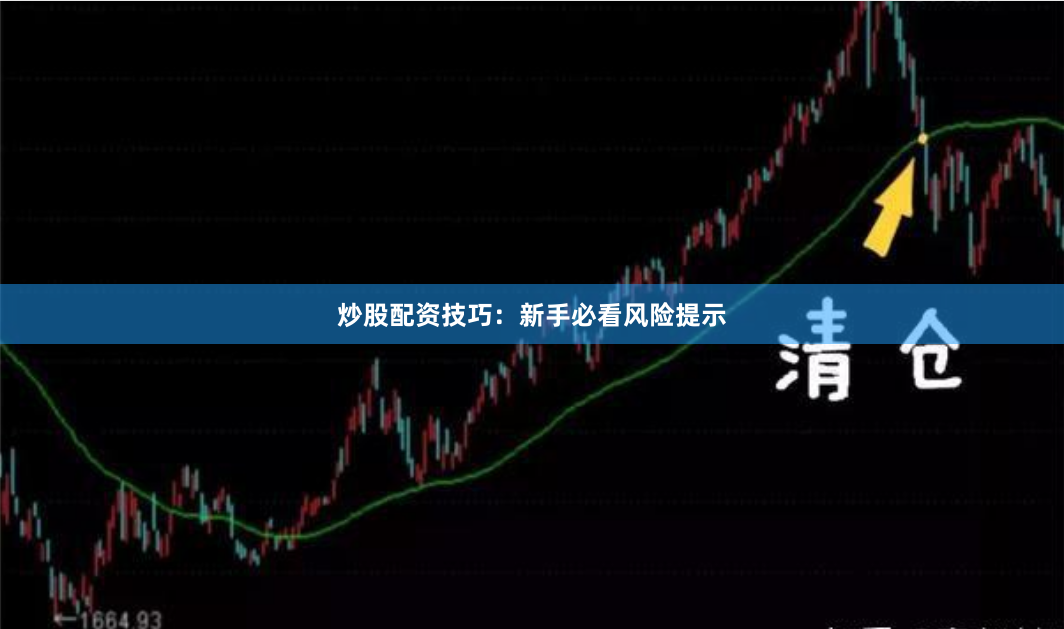 炒股配资技巧：新手必看风险提示